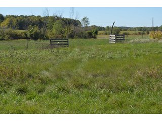Property photo 18 - 80 +/- Acres Offered in 6 Tracts - Spectacular Farm & Home